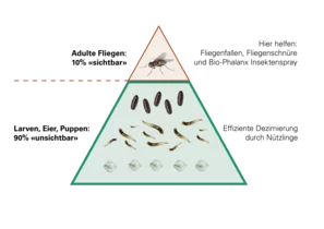 Diagramm Fliegeneisberg Deutsch | © Andermatt BioVet AG